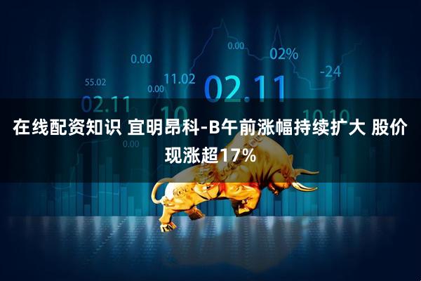 在线配资知识 宜明昂科-B午前涨幅持续扩大 股价现涨超17%