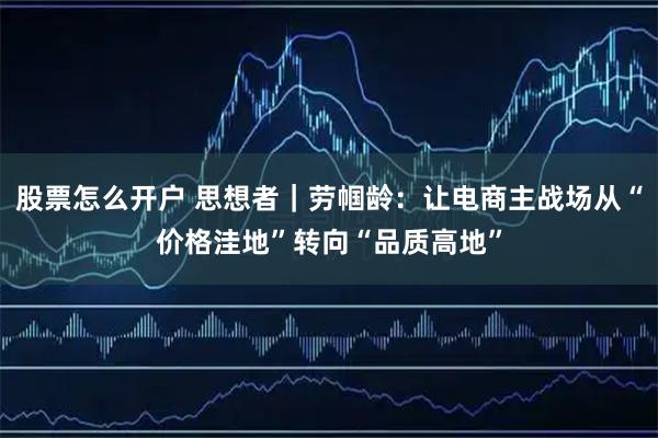 股票怎么开户 思想者｜劳帼龄：让电商主战场从“价格洼地”转向“品质高地”